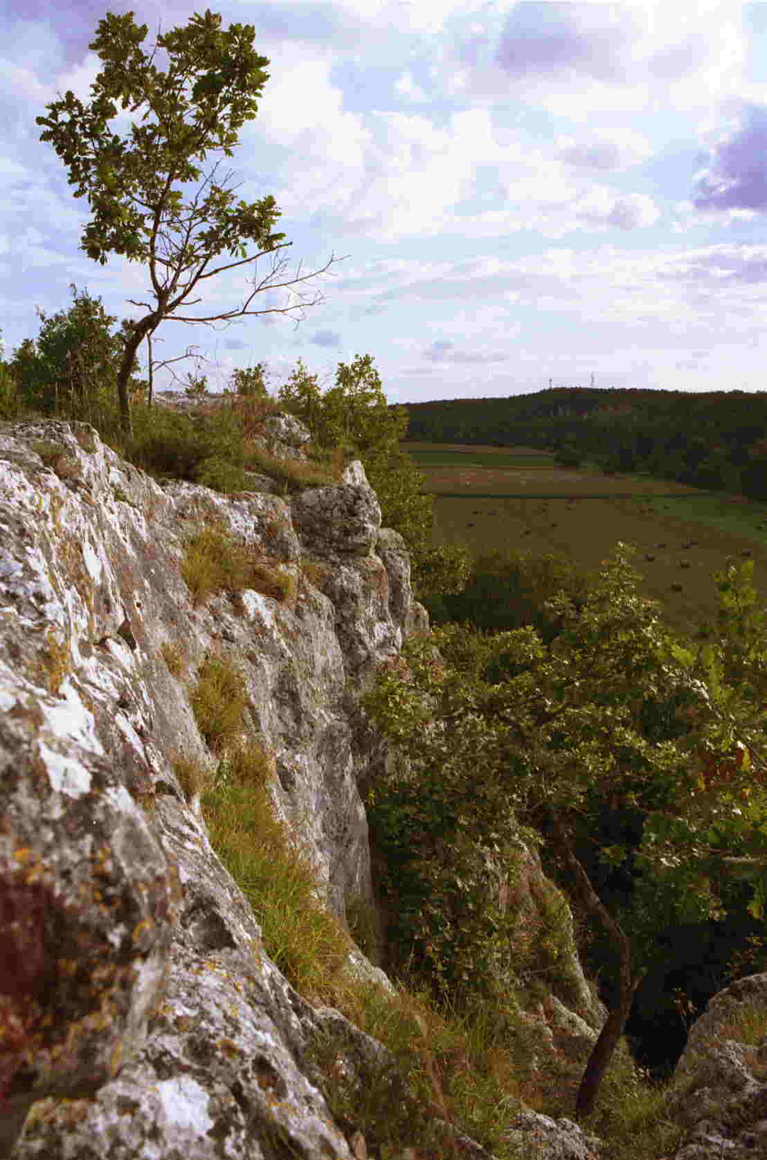 copyright famille brégeaud-romand